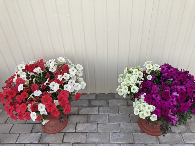 Наталья, Россия, Вятские Поляны. Фото на сайте ГдеПапа.Ру