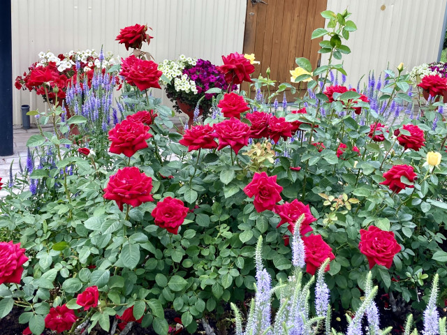 Наталья, Россия, Вятские Поляны. Фото на сайте ГдеПапа.Ру