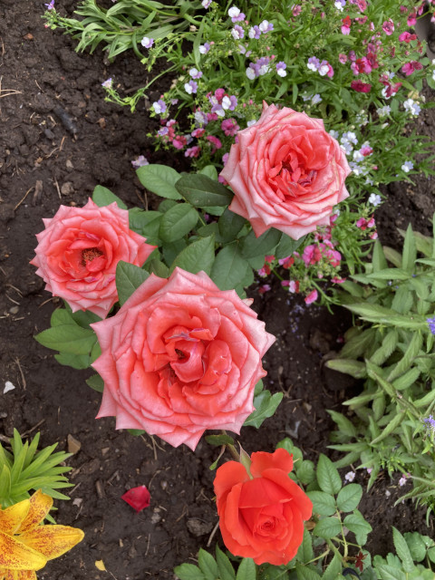 Наталья, Россия, Вятские Поляны. Фото на сайте ГдеПапа.Ру