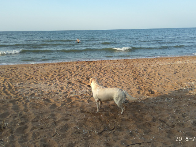 Александр, Россия, Москва. Фото на сайте ГдеПапа.Ру