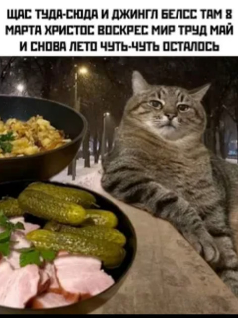 Алекс, Россия, Симферополь. Фото на сайте ГдеПапа.Ру