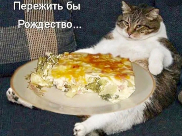 Алекс, Россия, Симферополь. Фото на сайте ГдеПапа.Ру