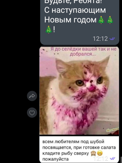 Алекс, Россия, Симферополь. Фото на сайте ГдеПапа.Ру