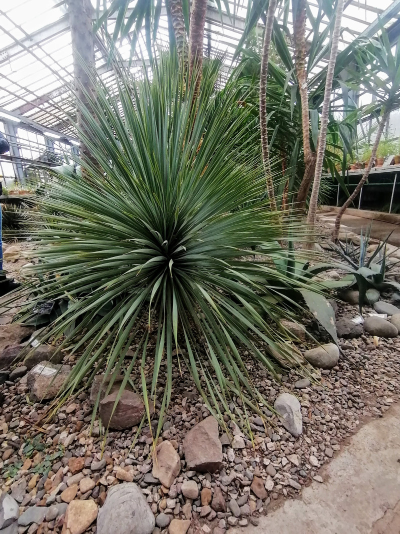 Мини-путешествие