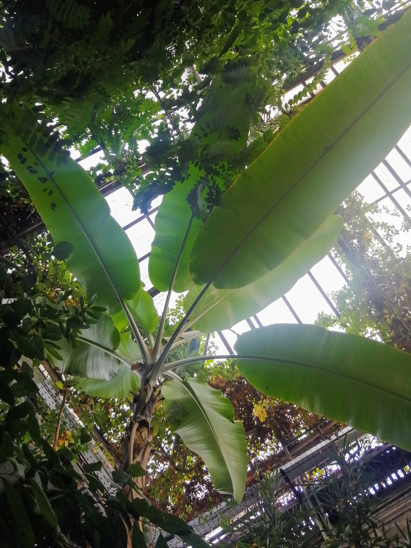 Мини-путешествие