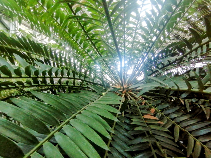 Мини-путешествие