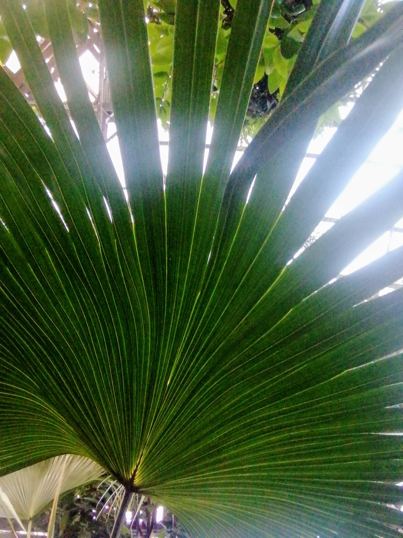 Мини-путешествие