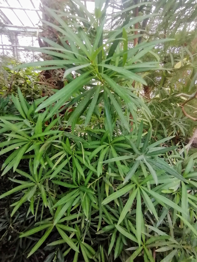 Мини-путешествие