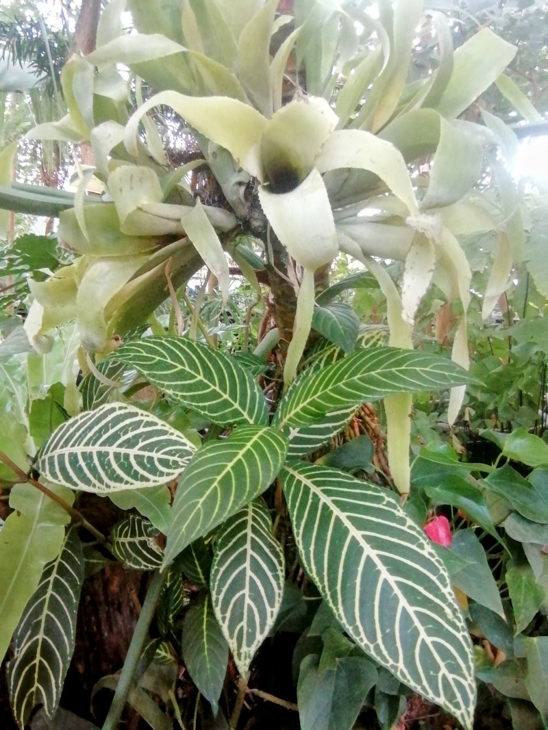 Мини-путешествие