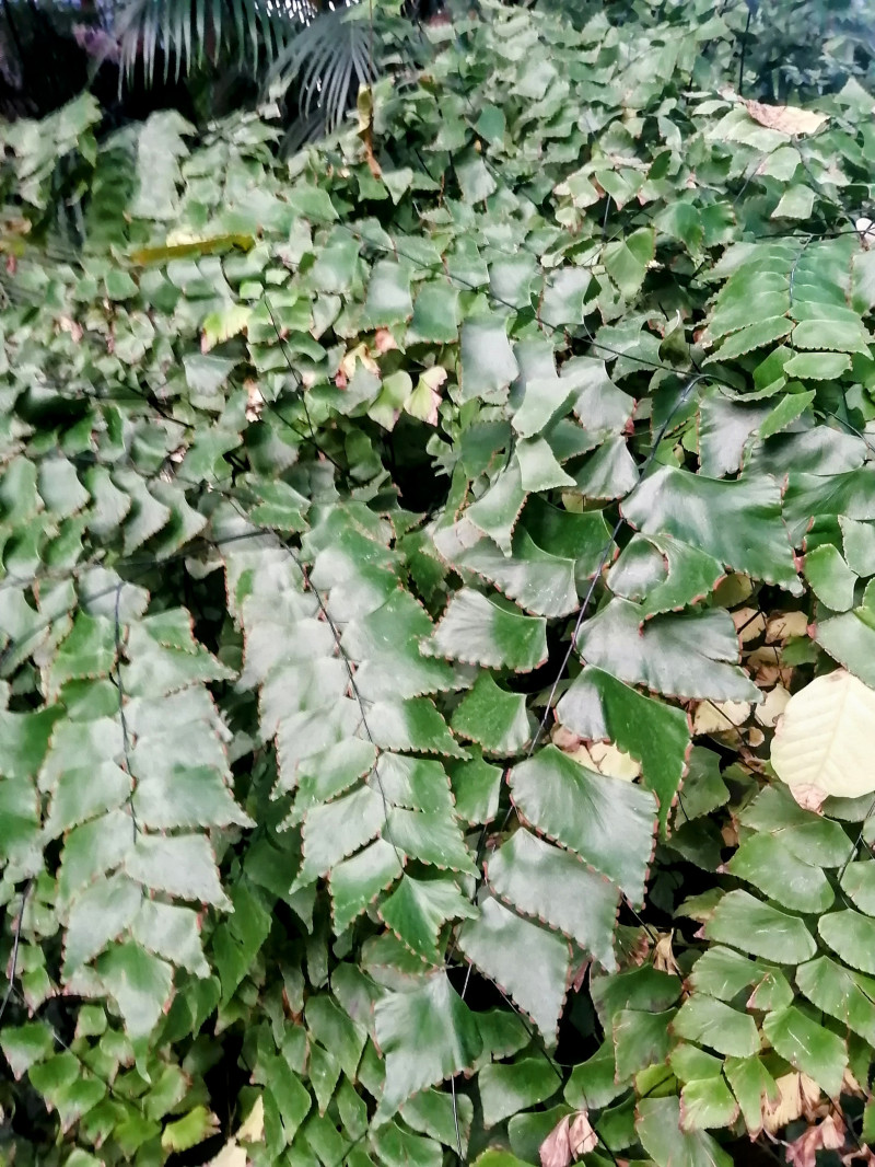 Мини-путешествие