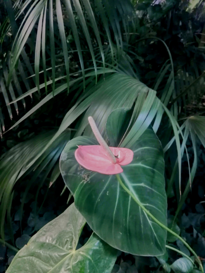 Мини-путешествие