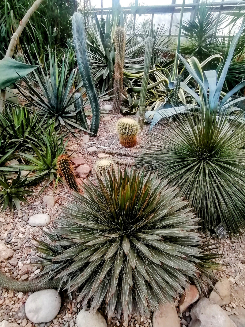 Мини-путешествие