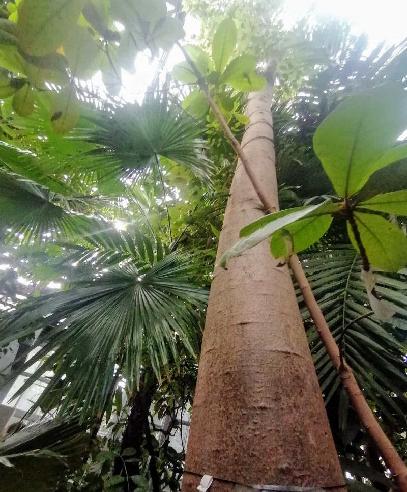 Мини-путешествие