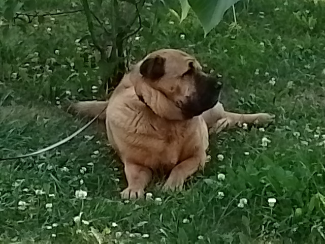 Ад не так уж и плох, если у тебя есть свой личный ангел.  🤗