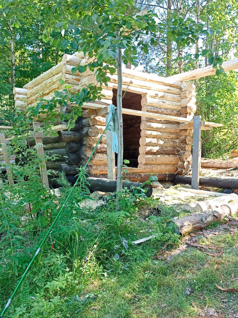 Баню рублю, в лесу, для отдыха,