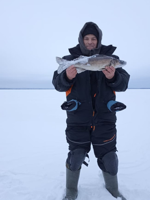 Александр, Россия, Петрозаводск. Фото на сайте ГдеПапа.Ру