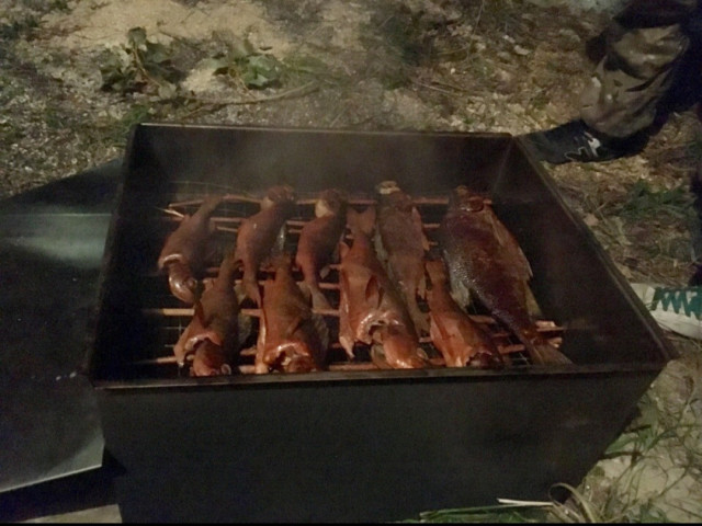 Александр, Россия, Петрозаводск. Фото на сайте ГдеПапа.Ру