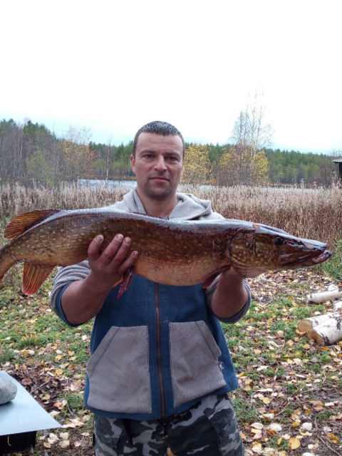 Александр, Россия, Петрозаводск. Фото на сайте ГдеПапа.Ру