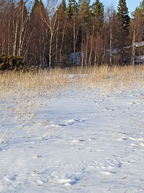Остров в море, сказал огромная  там,