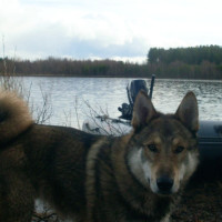 Александр, Россия, Петрозаводск, 53 года