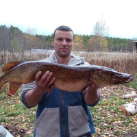 Александр, Россия, Петрозаводск, 53 года