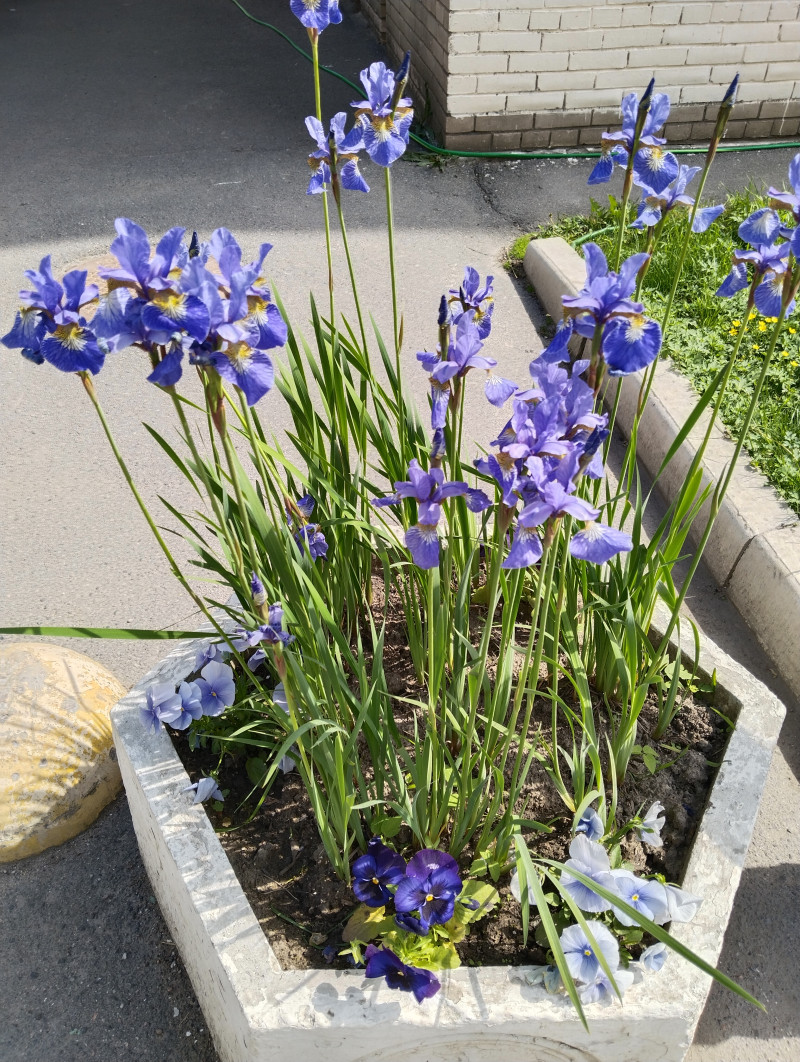 Конкурс! Самый красивый летний пейзаж.