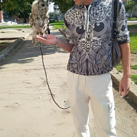 Дмитрий Дмитриев, Россия, Челябинск, 42 года