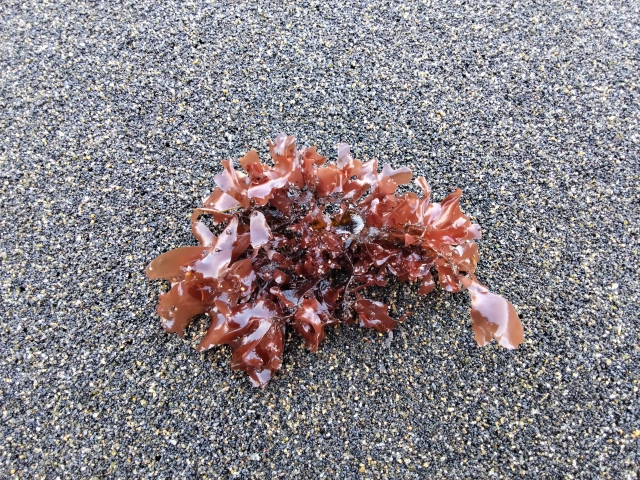 Андрей., Россия, Новокузнецк. Фото на сайте ГдеПапа.Ру