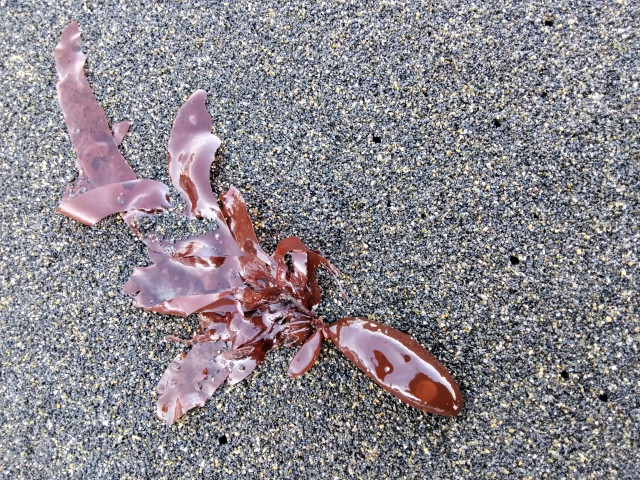 Андрей., Россия, Новокузнецк. Фото на сайте ГдеПапа.Ру