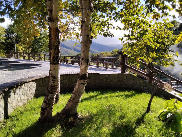 Андрей., Россия, Новокузнецк. Фото на сайте ГдеПапа.Ру