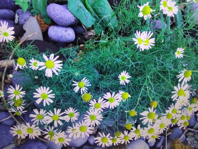 Андрей., Россия, Новокузнецк. Фото на сайте ГдеПапа.Ру