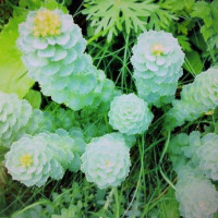 Андрей., Россия, Новокузнецк, 50 лет