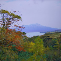 Андрей., Россия, Новокузнецк, 50 лет