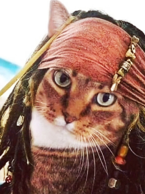 Егор, Россия, Москва, 41 год, 1 ребенок. Познакомлюсь с женщиной для любви и серьезных отношений, брака и создания семьи, дружбы и общения.Красота, доброта и мудрость🤗 спасёт МИР🤗 🇷 🇺 🤗.