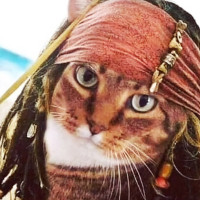 Егор, Россия, Москва, 41 год