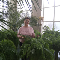 Лариса, Россия, Волгоград, 61 год