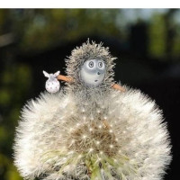 Елена, Россия, Смоленск, 59 лет