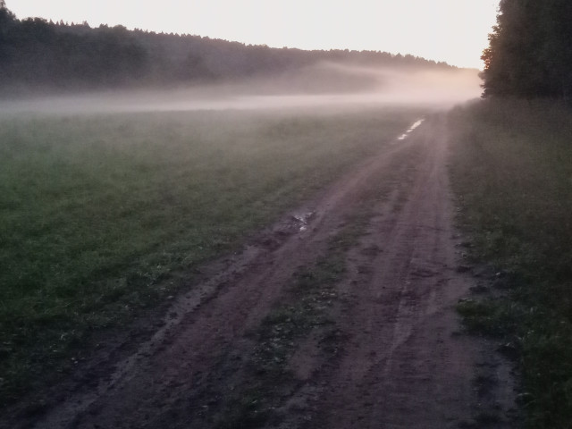 Зелёный, Россия, Москва. Фото на сайте ГдеПапа.Ру