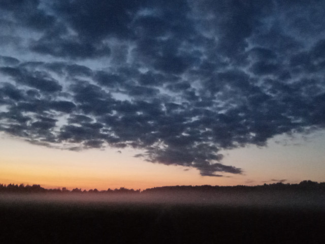 Зелёный, Россия, Москва. Фото на сайте ГдеПапа.Ру