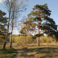 Зелёный, Россия, Москва, 47 лет