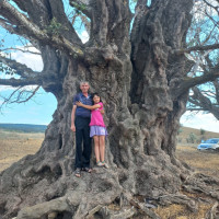 Анатолий Труфанов, Россия, Ставрополь, 56 лет