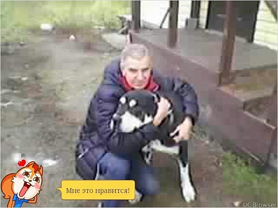 Владимир, Россия, Кашира. Фото на сайте ГдеПапа.Ру