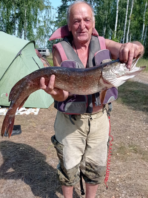 Алексей, Россия, Москва, 67 лет, 1 ребенок. Познакомлюсь с женщиной для любви и серьезных отношений.Вдовец