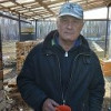 Рязанцев Виктор, 63, Россия, г. Каменск-Уральский (Свердловская область)