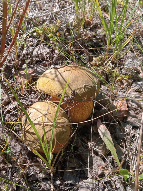 Геннадий, Москва, м. Митино. Фото на сайте ГдеПапа.Ру
