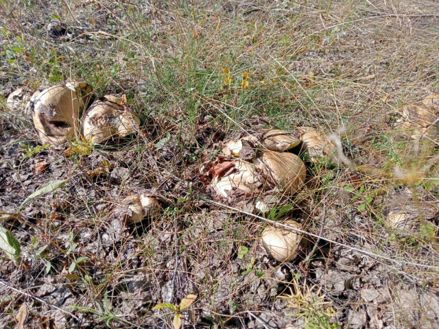 Геннадий, Москва, м. Митино. Фото на сайте ГдеПапа.Ру