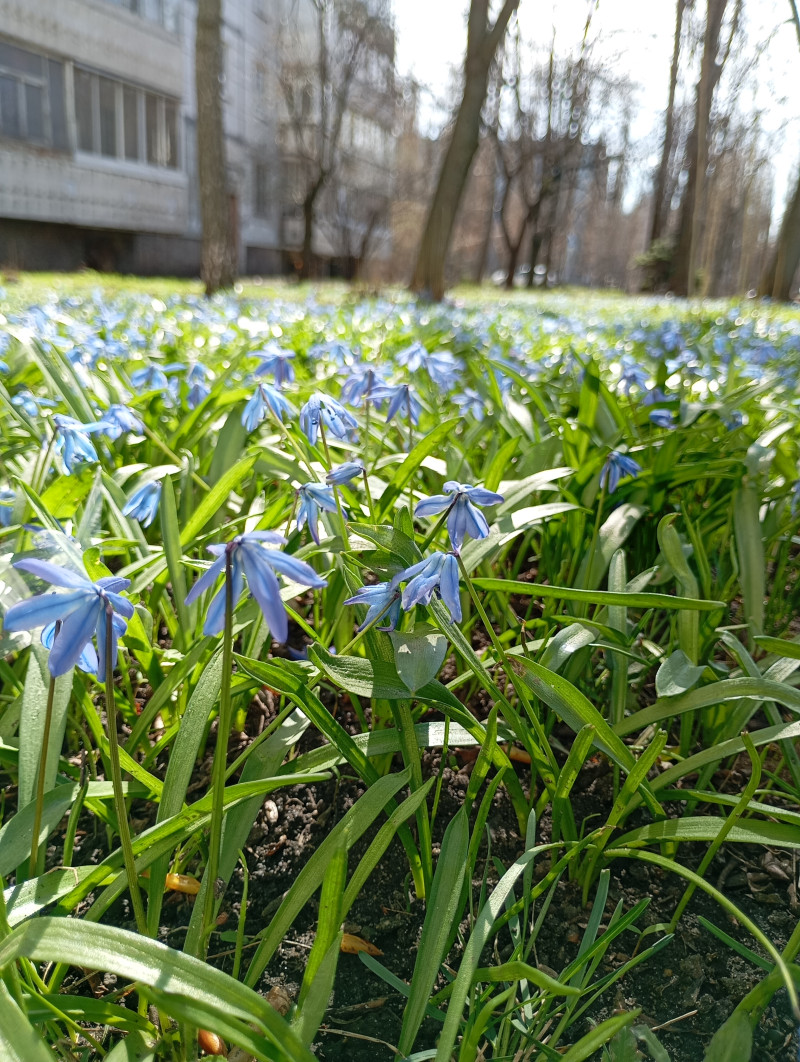 Маленькое чудо)