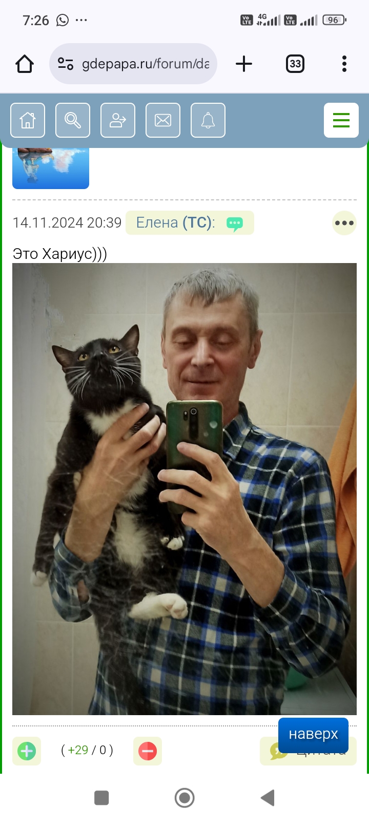 Конкурс фотографий с котиками (и пёсиками). Ч. 2. Победительная