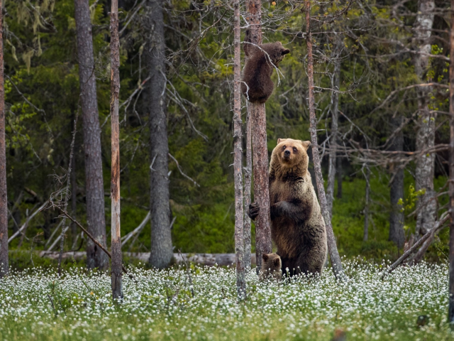 Виктор, Россия, Иркутск. Фото на сайте ГдеПапа.Ру
