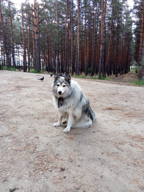 Виктор, Россия, Иркутск. Фото на сайте ГдеПапа.Ру